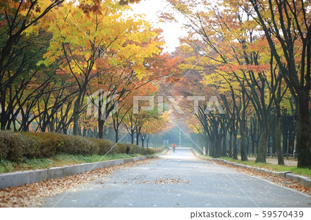 仁川大公園秋景 仁川大公園秋景 59570439