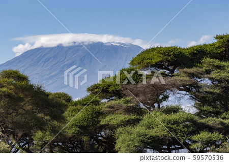 Kilimanjaro 59570536