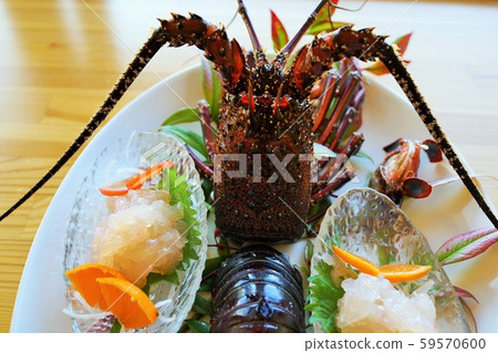 刺龍蝦生魚片材料背景阿久根市鹿兒島縣 59570600