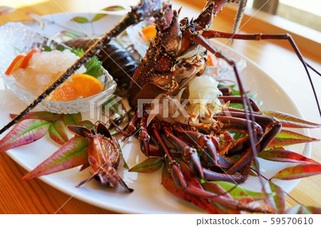 刺龍蝦生魚片材料背景阿久根市鹿兒島縣 刺龍蝦生魚片材料背景阿久根市鹿兒島縣 59570610