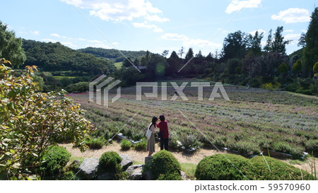 香草農場 59570960