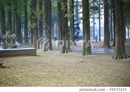 Autumn, nami island 59571815