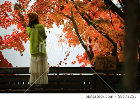 Beautiful, nami 59572255