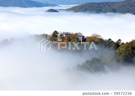 Castle in the Sky 6708 59572256