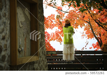 Beautiful, nami Beautiful, nami 59572261