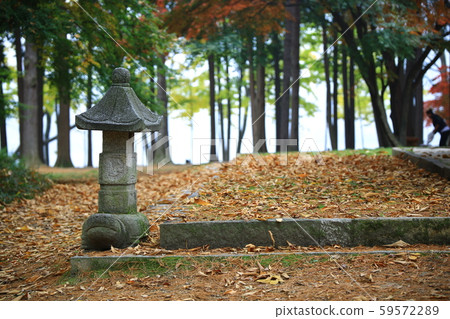 Beautiful, nami Beautiful, nami 59572289