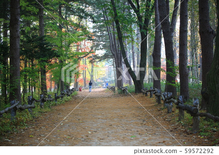 Beautiful, nami 59572292