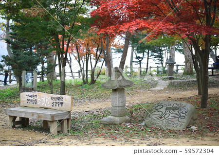 Beautiful, nami 59572304