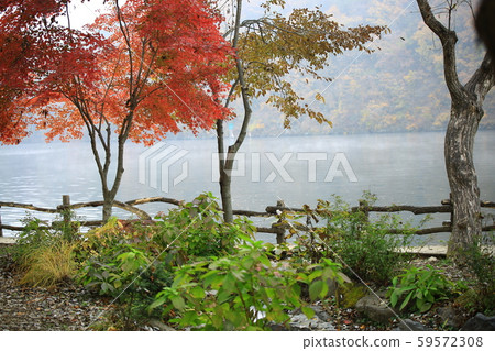 Beautiful, nami Beautiful, nami 59572308