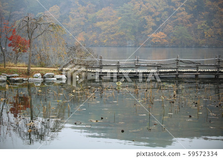 Beautiful, nami 59572334