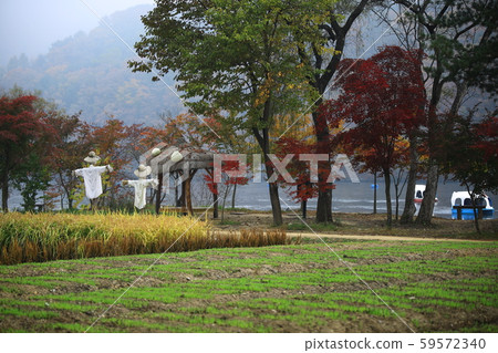 Beautiful, nami Beautiful, nami 59572340