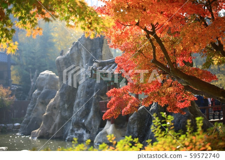 Nami Island in autumn 59572740