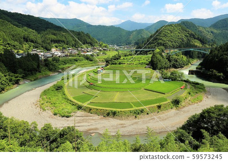 赤島的水稻梯田 赤島的水稻梯田 59573245