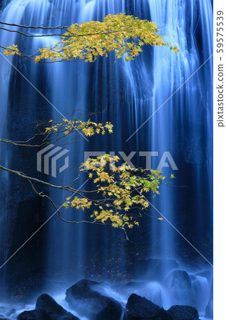 Autumn leaves of Tatsuzawa Fudo Falls 59575539