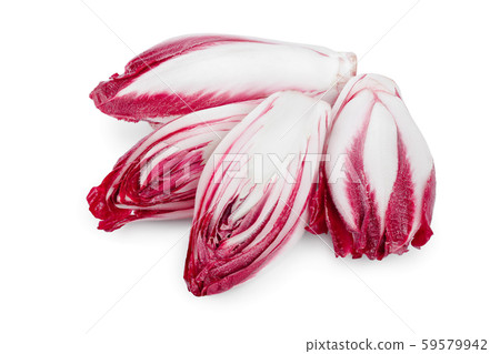 red chicory or radicchio isolated on white background red chicory or radicchio isolated on white background 59579942