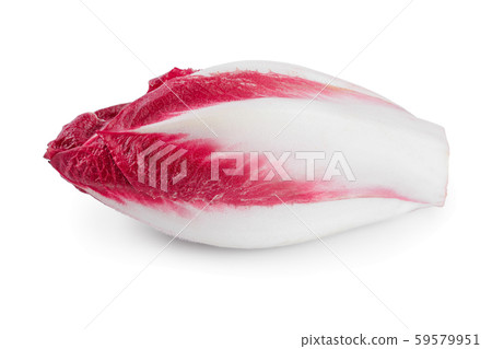 red chicory or radicchio isolated on white background 59579951
