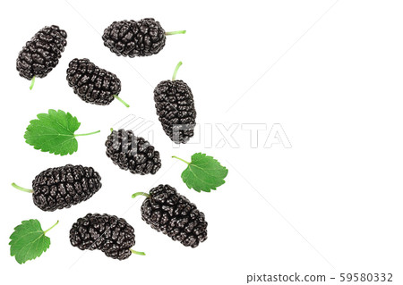 Mulberry with leaf isolated on white background with copy space for your text. Top view. Flat lay 59580332