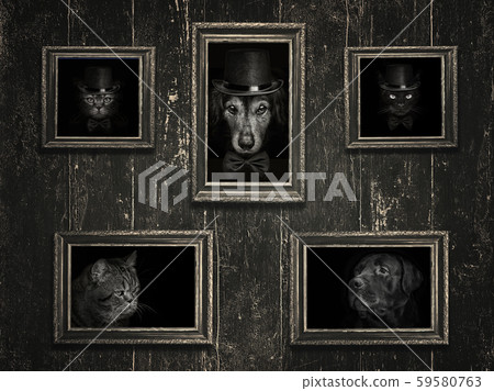Old frames on the wall with the image of cats and Old frames on the wall with the image of cats and 59580763