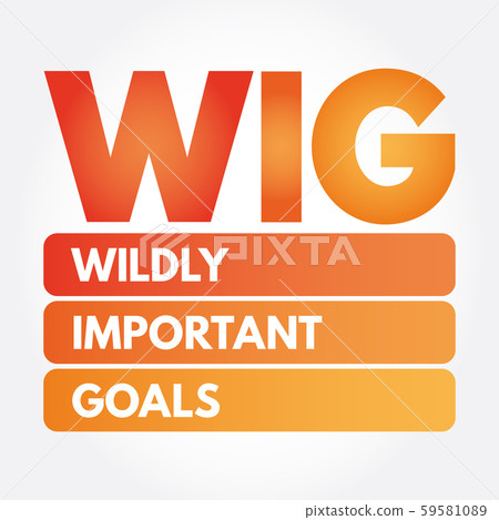 WIG Wildly Important Goals acronym Stock Illustration