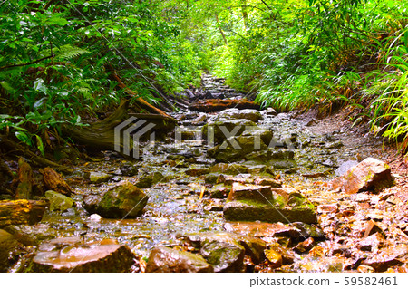 Step 6 of Mt. Takao 59582461