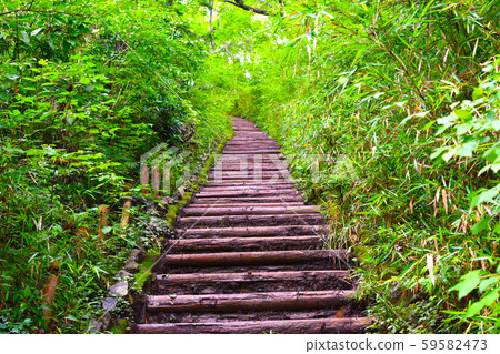 The stairs The stairs 59582473