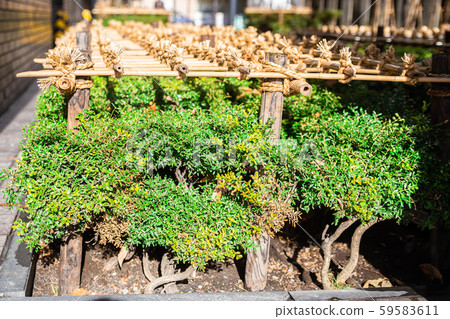 Winter fence, snow measures, gardening, flowerbed 59583611