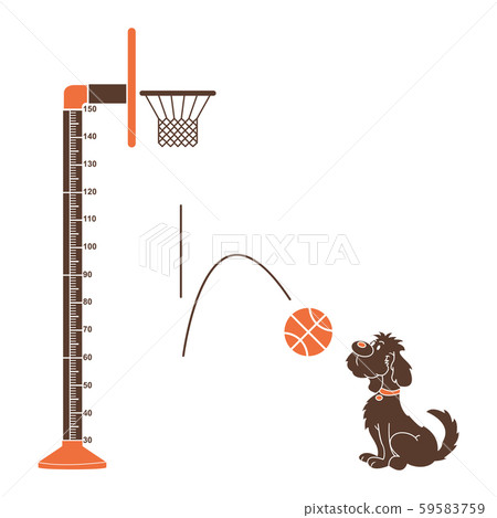 Kids height ruler with a dog, ball and basket ball for wall decals, wall stickers - Vector Kids height ruler with a dog, ball and basket ball for wall decals, wall stickers - Vector 59583759