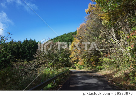 日本美麗的秋葉 59583973