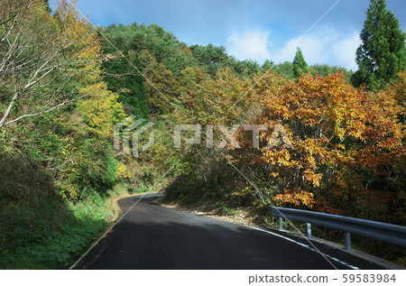 日本美麗的秋葉 59583984