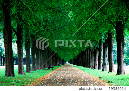 George Gardens in Hannover, Germany George Gardens in Hannover, Germany 59584014