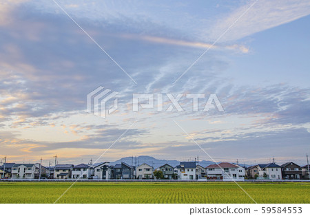 Residential area Residential area 59584553
