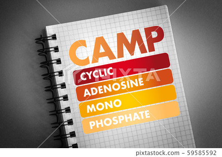 CAMP acronym, medical concept background 59585592
