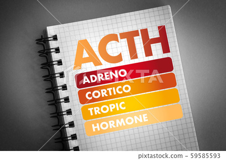 ACTH - Adrenocorticotropic hormone acronym ACTH - Adrenocorticotropic hormone acronym 59585593