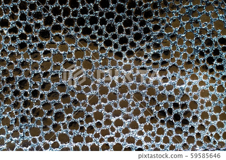 Black crocodile skin closeup. Macro shot. Animal concept. Black crocodile skin closeup. Macro shot. Animal concept. 59585646