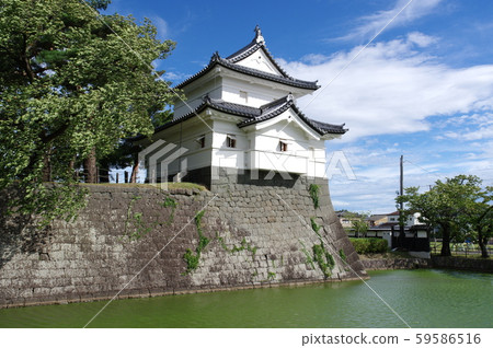 Shibata Tashiro / Honmaru Shibata Tashiro / Honmaru 59586516