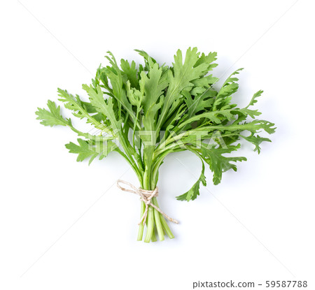 Chrysanthemum coronarium Isolated on white Chrysanthemum coronarium Isolated on white 59587788