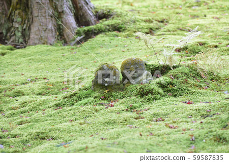 Warabe Jizo Warabe Jizo 59587835