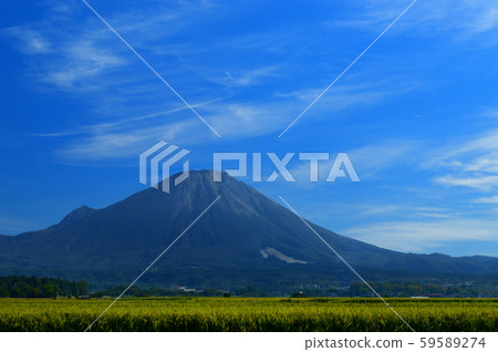 Autumn Oyama Autumn Oyama 59589274