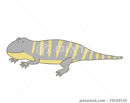 Orner Tanile monitor Orner Tanile monitor 59589530