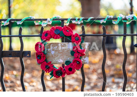 Remembrance Day, sometimes known informally as Poppy Day.A closeup of knitted Poppies to commemorate 59590403