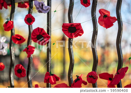 Remembrance Day, sometimes known informally as Poppy Day.A closeup of knitted Poppies to commemorate Remembrance Day, sometimes known informally as Poppy Day.A closeup of knitted Poppies to commemorate 59590408