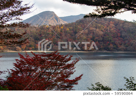 埃比諾高原池塘之旅 59590864