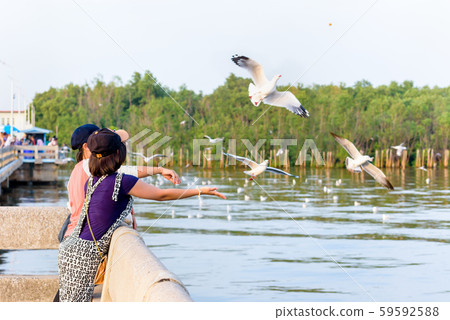 Mother and daughter enjoy feeding the seagull 59592588