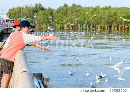 Mother and daughter enjoy feeding the seagull 59592592