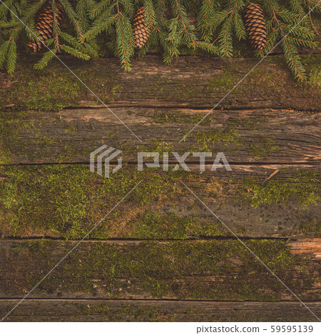 Christmas fir tree with cones on wooden board 59595139