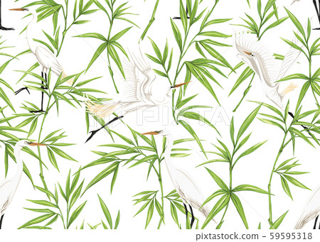 Seamless pattern, background with tropical plants,  59595318