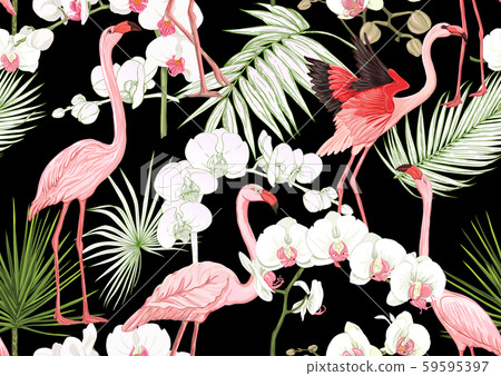 Tropical plants and flowers and birds.  59595397