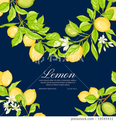 Lemon tree branch with lemons - Stock Illustration [59595431] - PIXTA