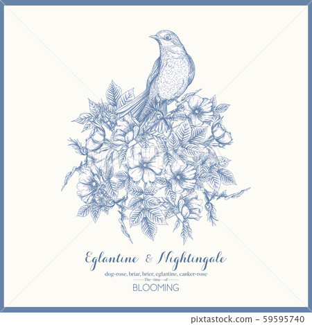 Dog-rose, Dog-rose, 59595740