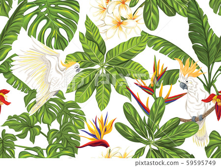 Seamless pattern, background with tropical plants, Seamless pattern, background with tropical plants, 59595749